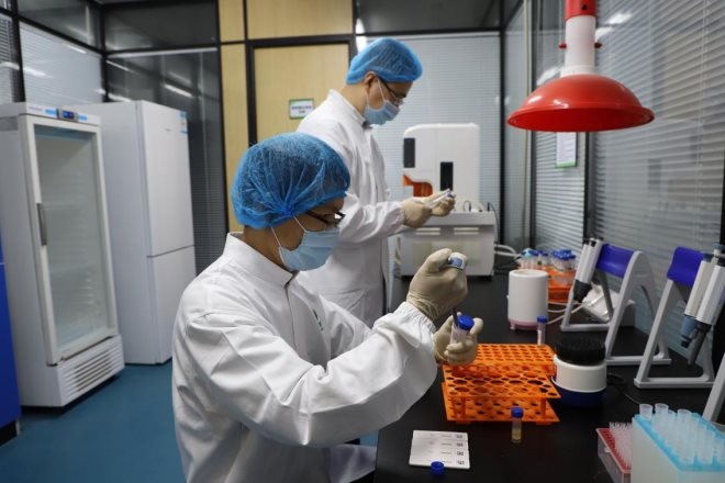 431395002
