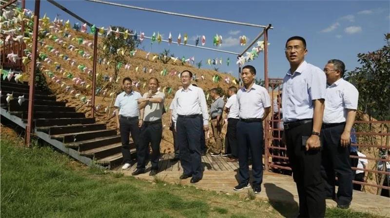Z6·尊龙凯时「中国区」官方网站